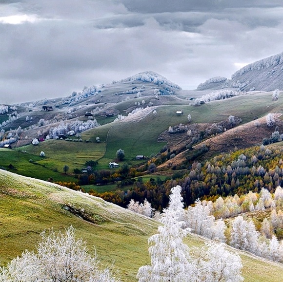 Meet your Posher, Janis - Picture 1 of 1